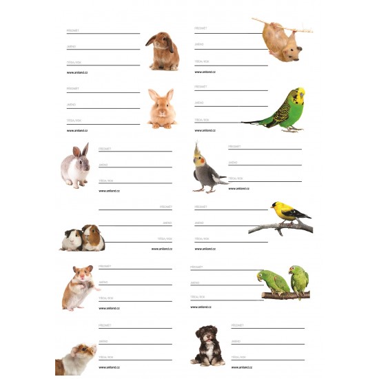 Nálepky se zvířaty na sešit...