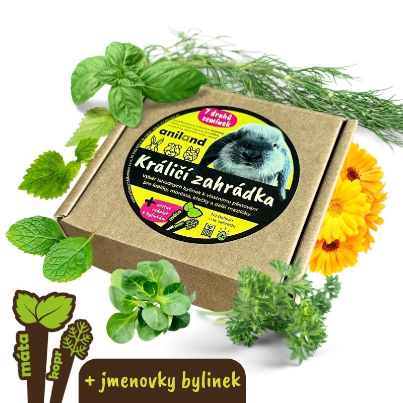 bylinky kralik