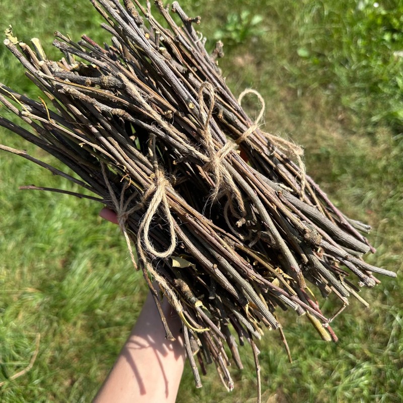 cerstve vetvicky jablone