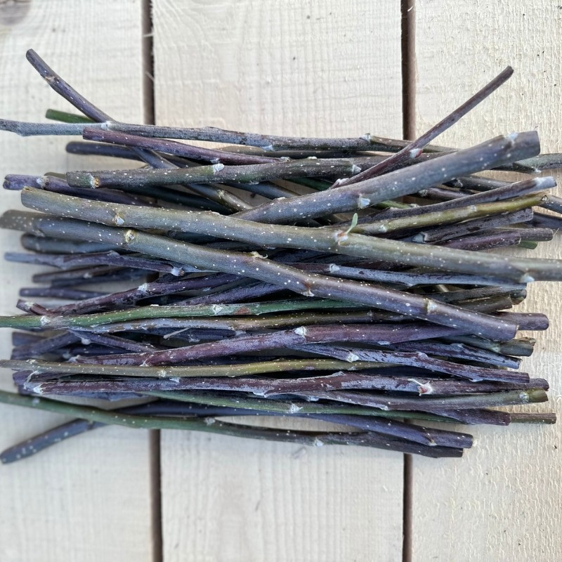 vetvicky pro kraliky