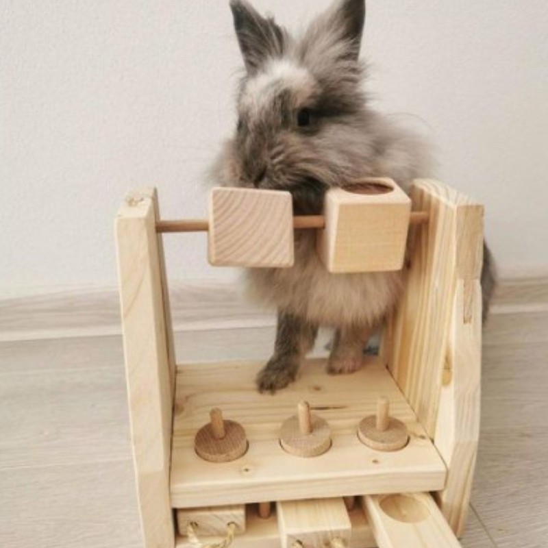 hlavolam pro kraliky