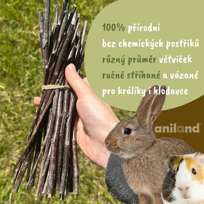 vetvicky jablone pro kraliky