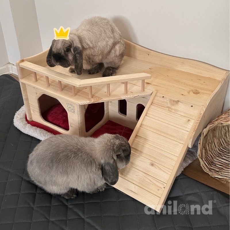 kralovstvi palac pro kraliky