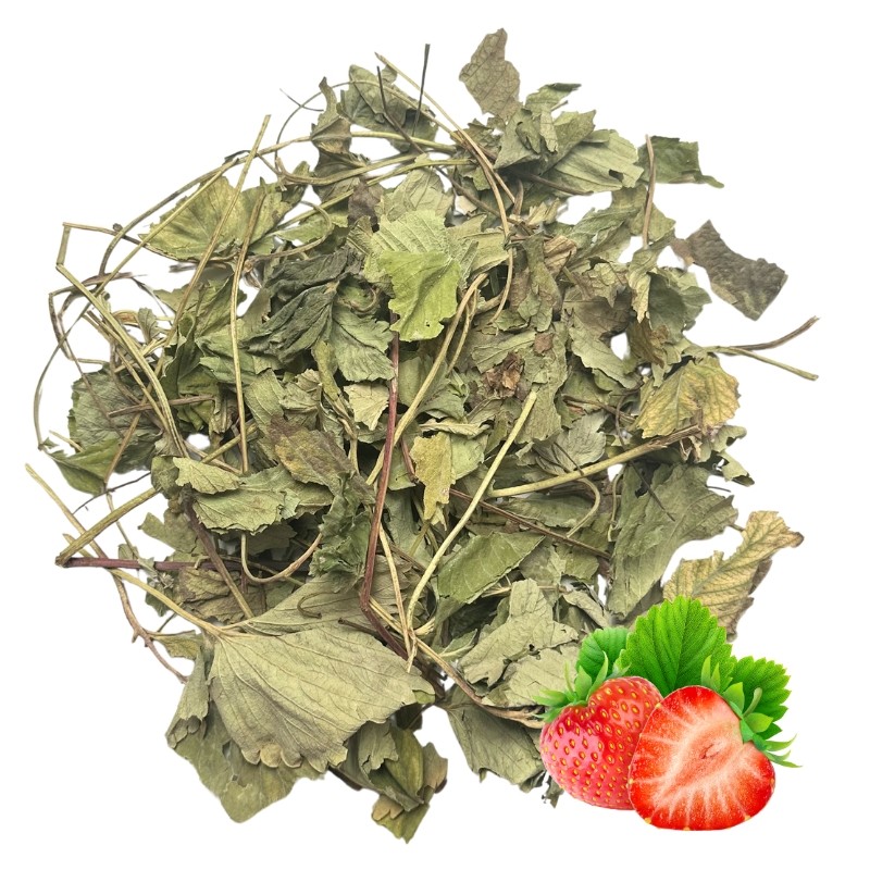 jahodove listy pro kraliky