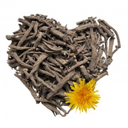 Koreň púpavy CELÝ MAXI...