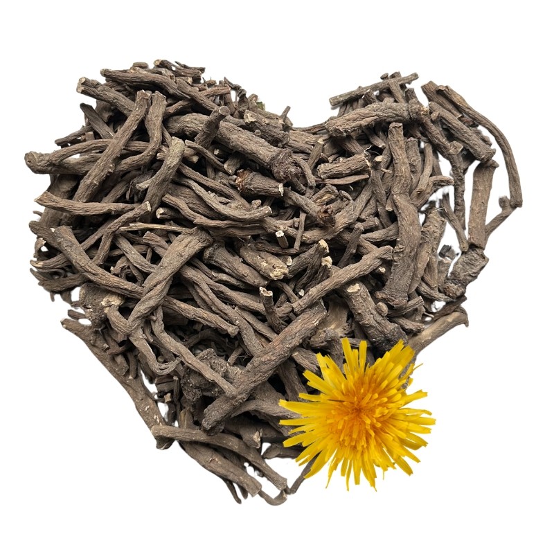 koren pampelisky cely