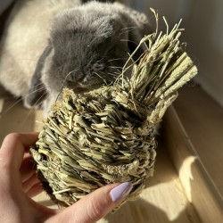 timotejsky ananas hracka pro kraliky