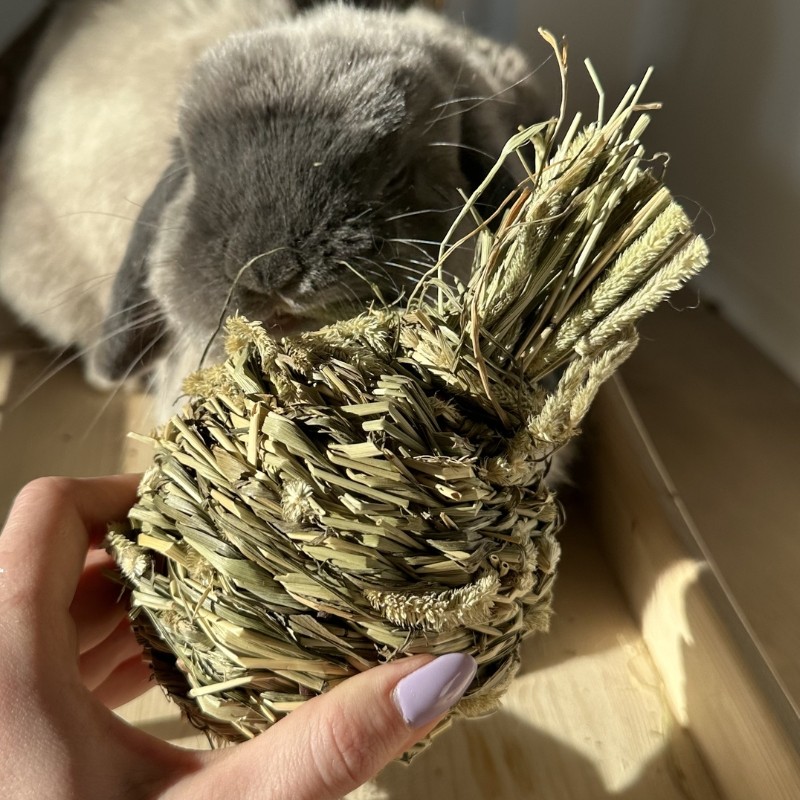 timotejsky ananas hracka pro kraliky