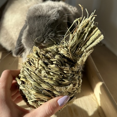 timotejsky ananas hracka pro kraliky