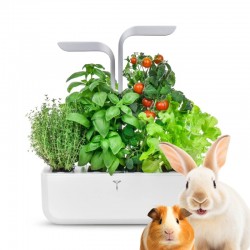 chytry automaticky kvetinac na bylinky