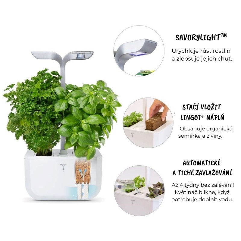 automaticky kvetinac