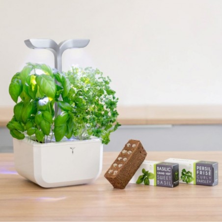 chytry kvetinac se samozavlazovanim