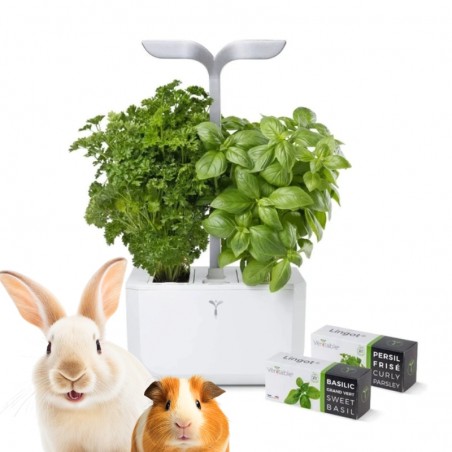 chytry kvetinac s led svetlem