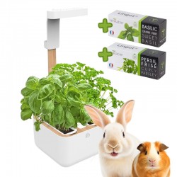 Automatický květináč...