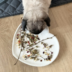 Keramický tanier pre...