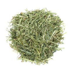 Zelený ovos sušený 100 g