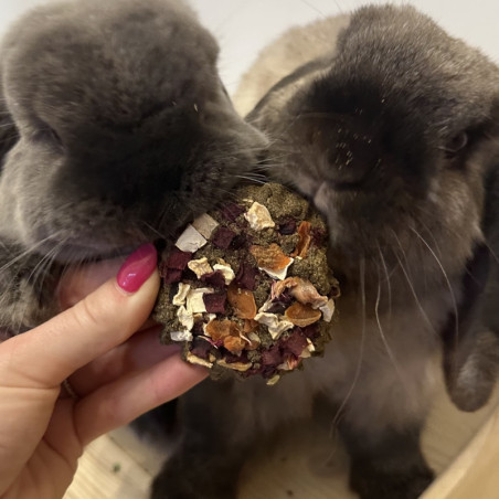 zeleninove bezobilne pamlsky pro kraliky