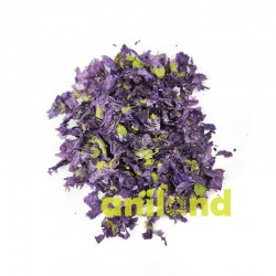 Kvet slezu pre králiky a...