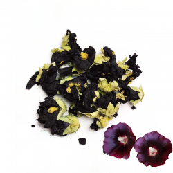 Topoľovka sušený kvet 20 g