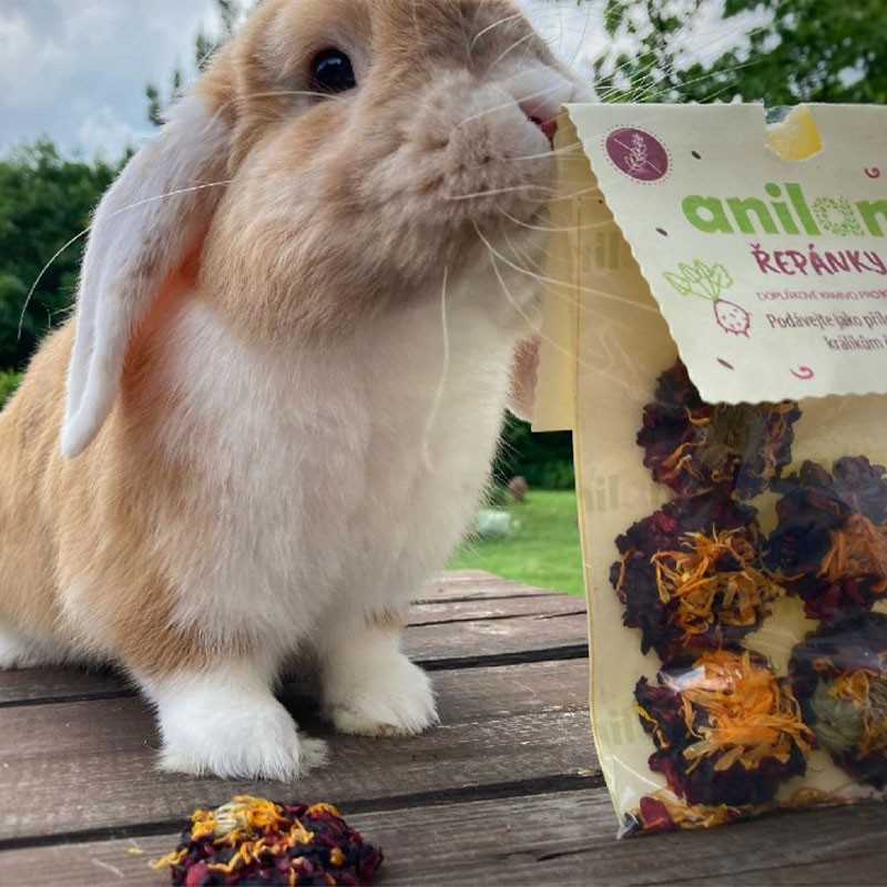 bezobilne pamlsky pro kraliky